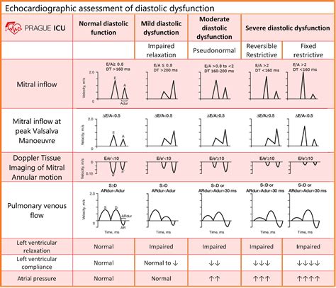 lv grade|left ventricular diastolic dysfunction grade.